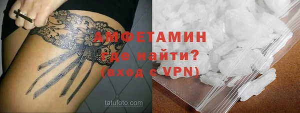 гидра Елабуга