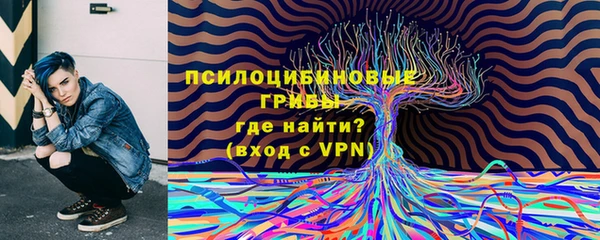 2c-b Александровское