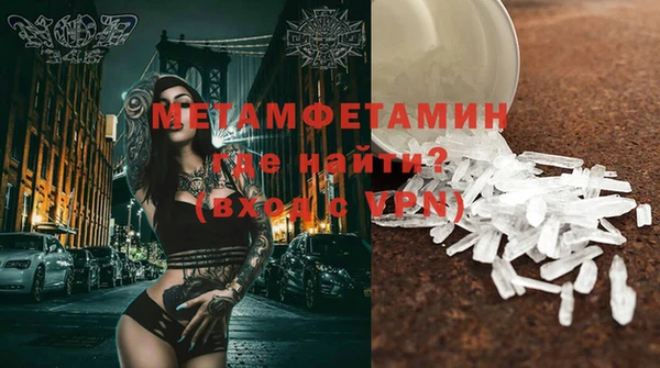 гидра Елабуга