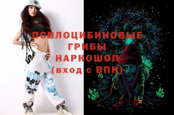 гидра Елабуга