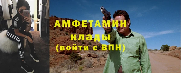 гидра Елабуга