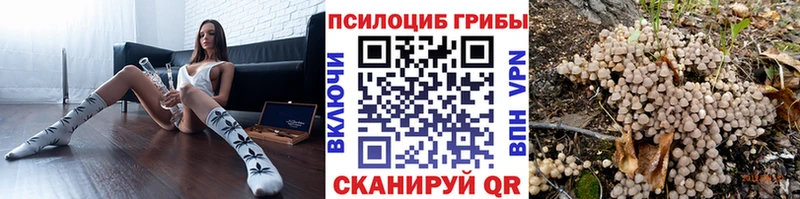 blacksprut ТОР  Геленджик  Псилоцибиновые грибы мицелий 