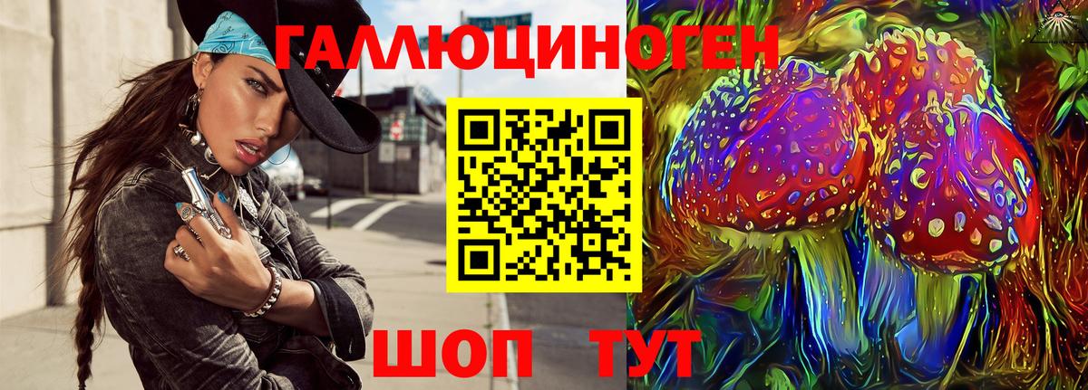 Псилоцибиновые грибы прущие грибы Геленджик
