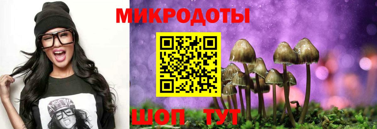 Псилоцибиновые грибы GOLDEN TEACHER  Вход с VPN  Геленджик 
