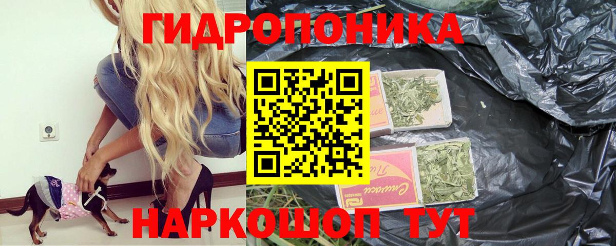 Конопля семена Геленджик